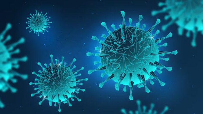 COVID Cases In America