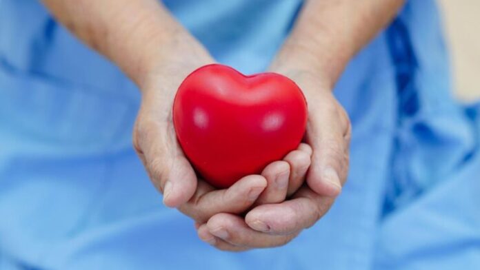 Diet Plan For Heart Patients