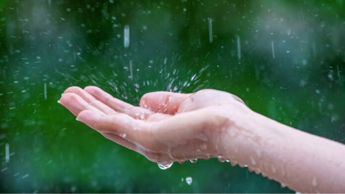 Healthy Diet During Raining Season