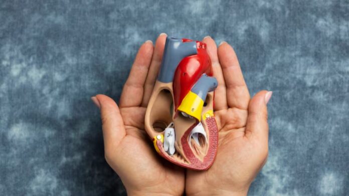 How To Detox Kidney Naturally