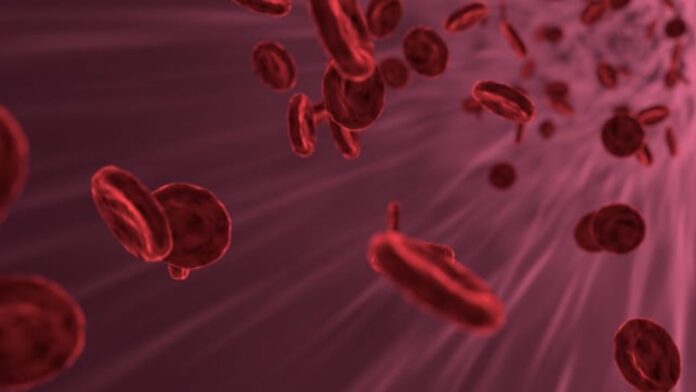 Low Haemoglobin Symptoms