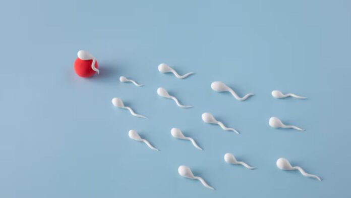 Posthumous Sperm Retrieval