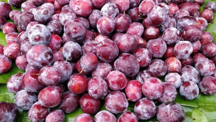 Best food and drink for hydration