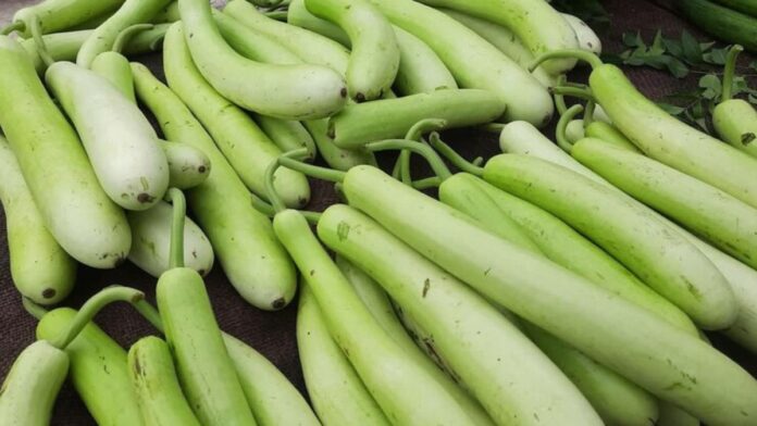 Bottle gourd benefits