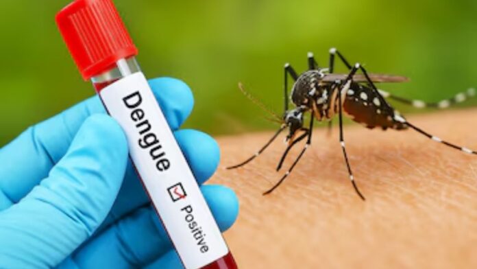 Dengue Treatment