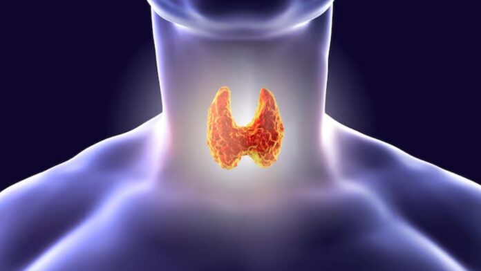 Diet in Thyroid