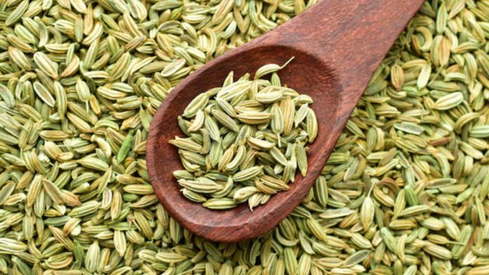 Fennel Seeds Benefits