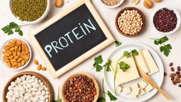 High Protein Foods