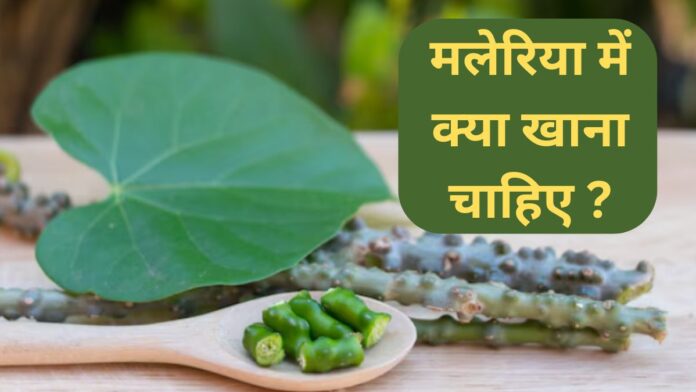 Kya Khane Se Malaria Thik Hota Hai