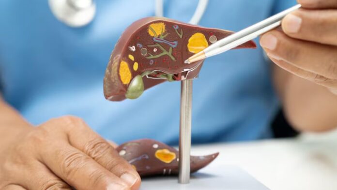 Liver Damage Symptoms