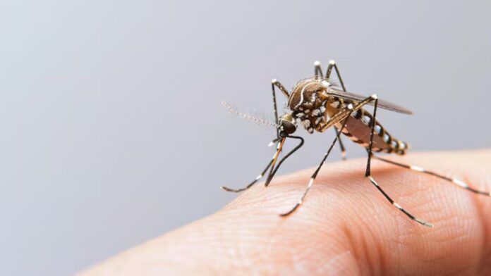 Machar Bhagane Ke Desi Nuskhe