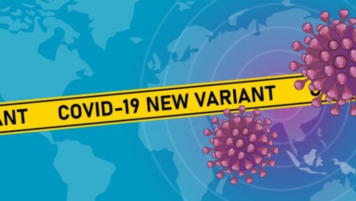 New COVID Variant Cicada