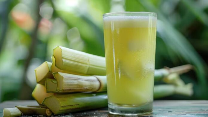 Sugar Cane Juice In Diabetes