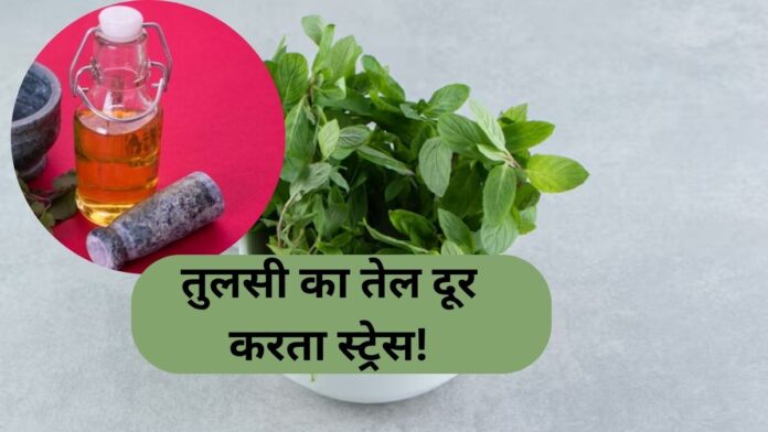 Tulsi tel Ke Fayde