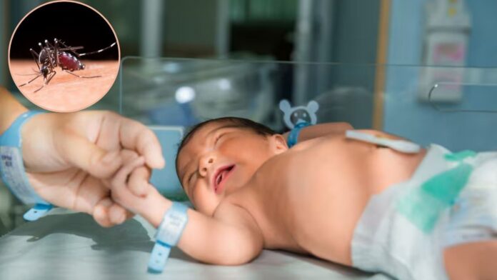 WHO approved malaria treatment