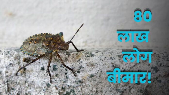 What is Chagas Disease