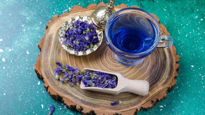 blue tea benefits