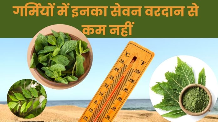 4 Home Remedies to Beat the Heat