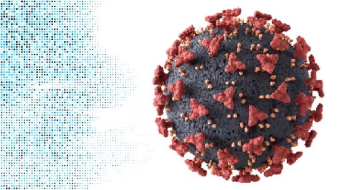Andes Hantavirus