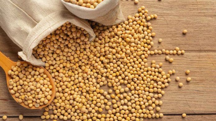 Diet for Thyroid Patients
