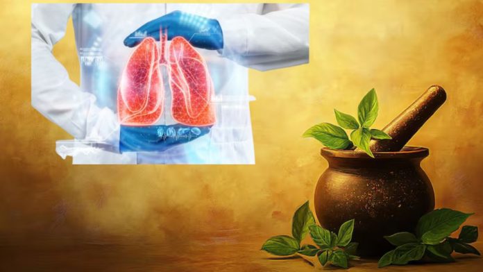 Herbs For Lungs Health