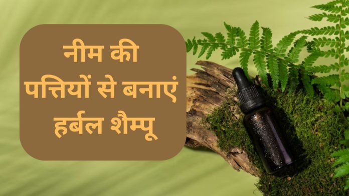 How to make herbal shampoo at home