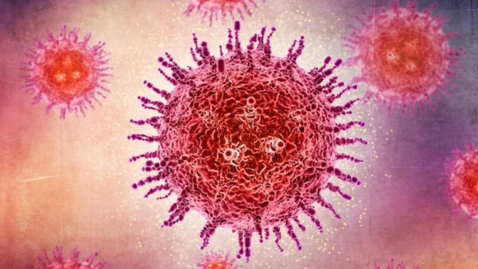 India On Ebola Virus