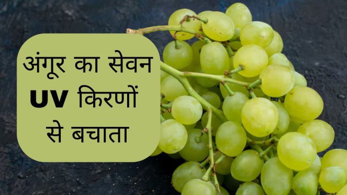 UV protection grapes