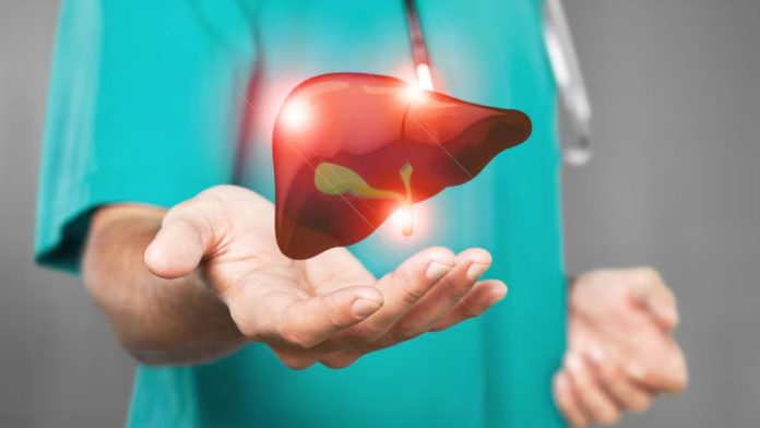 What are the signs of heat in the liver