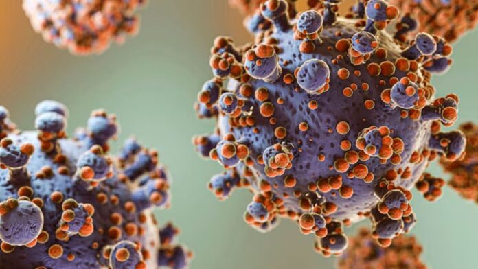 What is Hantavirus