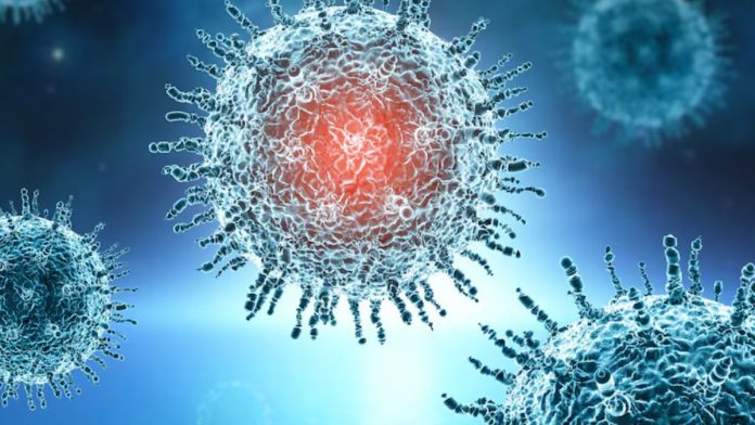 What is Norovirus