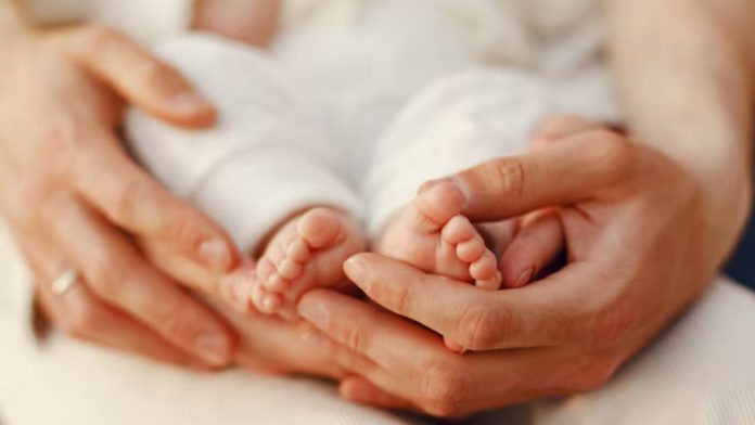 IVF से बच्चे…पैरेंट्स से नहीं मिला DNA! आखिर भारत में क्यों बढ़ रहा 'टेस्ट ट्यूब बेबी का चलन