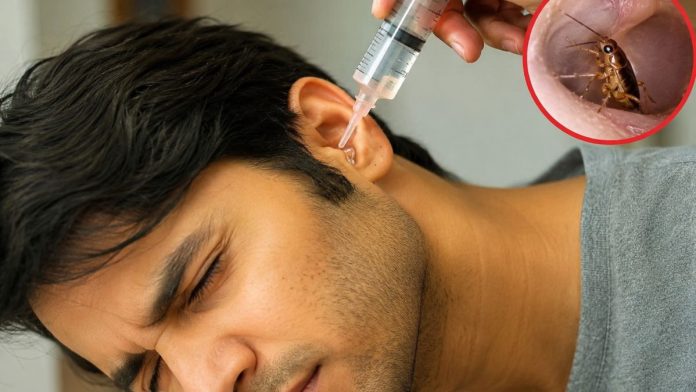 कानों में चला गया कीड़ा
