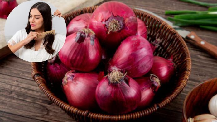 Onion for hair fall control: बाल झड़ने से हैं परेशान? ऐसे लगाएं प्याज का रस