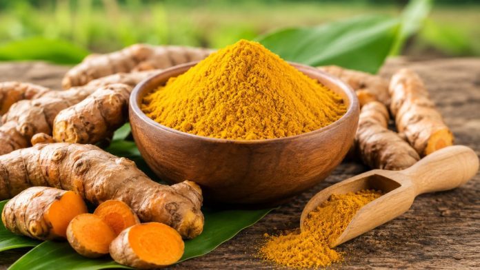 Lead in Turmeric Study