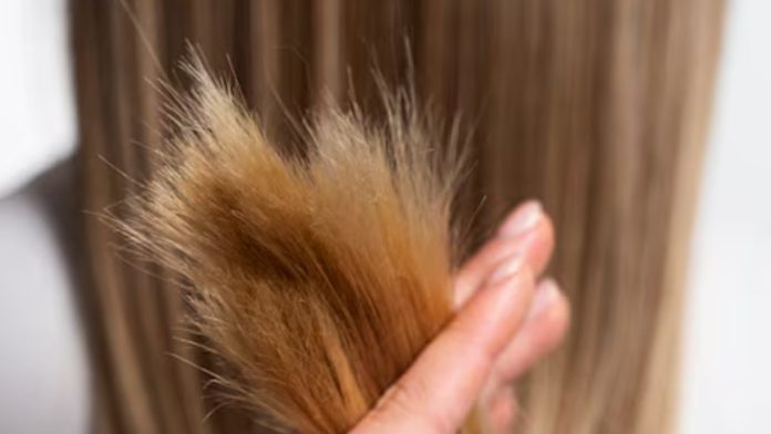 चावल और अलसी का हेयर टोनर बनाएं, Split Ends Hair से मिलेगा छुटकारा